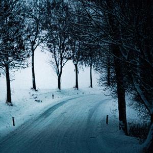 Kam ty lidi jdou (feat. Shizzle)