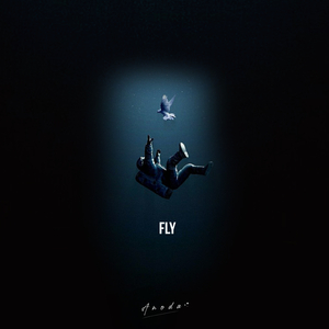 Fly
