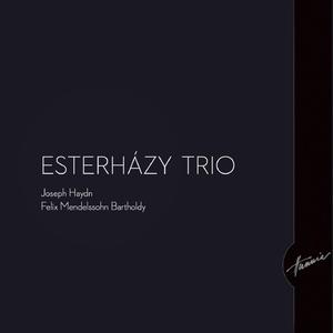 Klaviertrio Nr. 1 D Minor, op. 49: Molto Allegro agitato