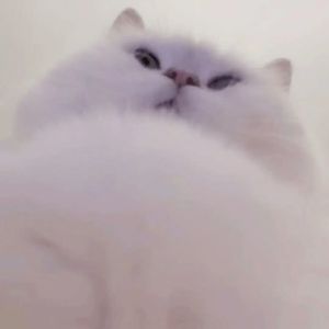 02 (2)