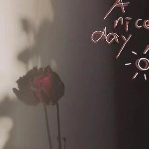 可是啊（高兴 remix)