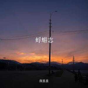 蜉蝣志