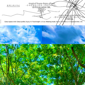 tropical house demo1