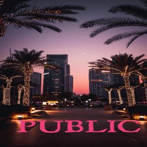 Public