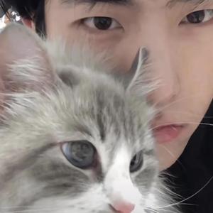 感谢你曾来过（翻唱）