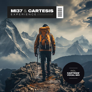 Experience (Cartesis' Vocal Mix)