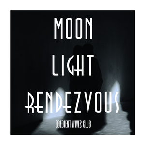 Moonlight Rendezvous