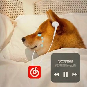 紫红色太阳下的80年代跑车之旅