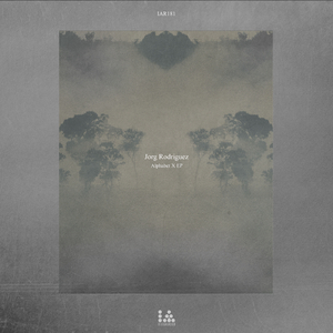 BETA X (Original Mix)