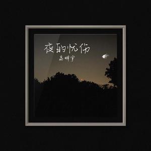 夜的忧伤 伴奏