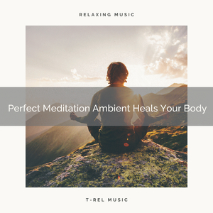 Perfect Meditation Ambient Heals Your Body