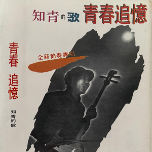 青春追忆联唱（1）