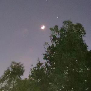 春日旧忆（Prod.by ATTBeat）