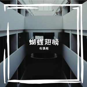 蝴蝶翅膀
