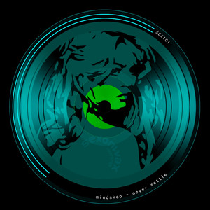 Never Settle (Original Mix)