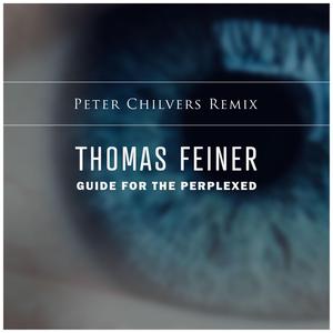 Guide for the Perplexed (Peter Chilvers remix) (Peter Chilvers remix)