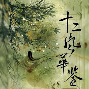 十二风华鉴-XSH