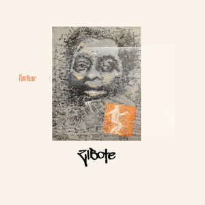 ZIBOTE