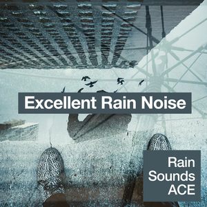 Pitter Patter Friday