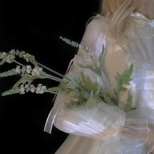 蓝心羽-阿拉斯加湾（人间无九 remix）