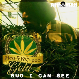 Bud I Can See