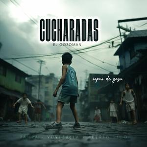 Cucharadas