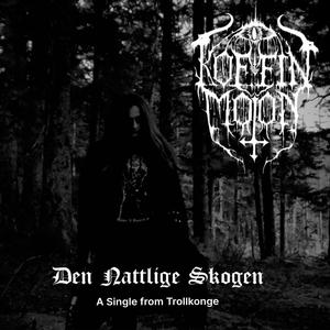 Den Nattlige Skogen