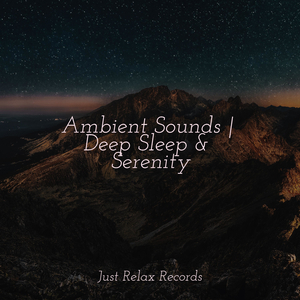 Mystical Melody of Quietude