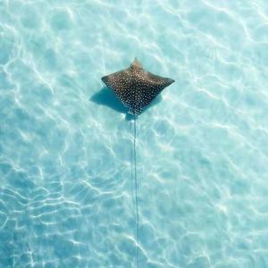 暧昧物语（单人）