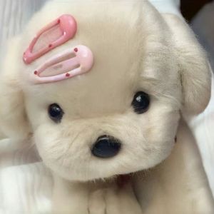 你不属于我