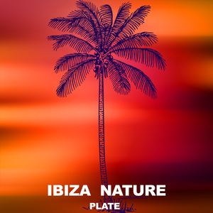 Whistle (Ibiza Son Dub Remix)