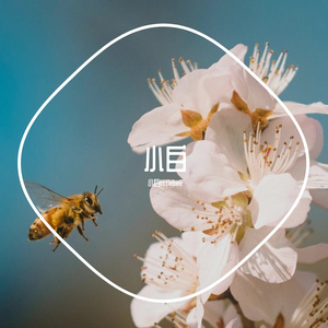 杀人蜂（prod by mathiastyner）