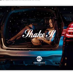 DJLayDiMusic-Shake It（DJLayDiMusic Remix）