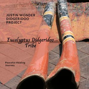 Native American Tribal Didgeridoo (Analog Drumming)