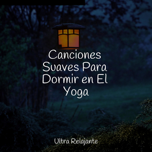Perfección Después Del Anochecer