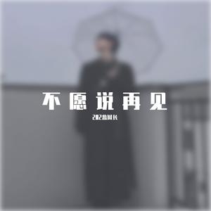 不愿说再见