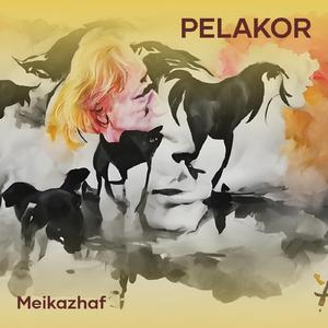 Pelakor