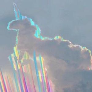 杨花落尽子规啼