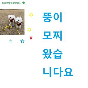 뚱이 모찌 왔습니다요