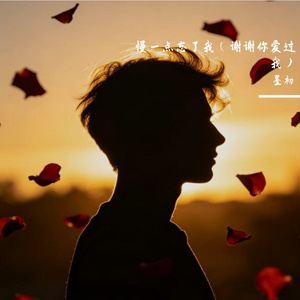 慢一点忘了我（谢谢你爱过我）