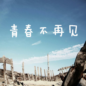 青春不再见