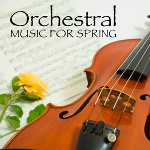 Wishes in E minor, Op 24: I