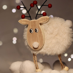 あそこのレインディア