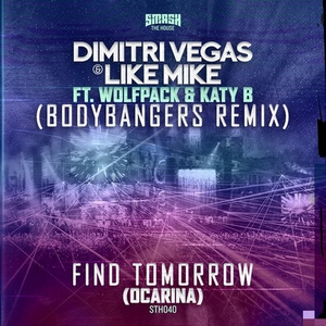 Find Tomorrow (Ocarina)(Bodybangers Remix)