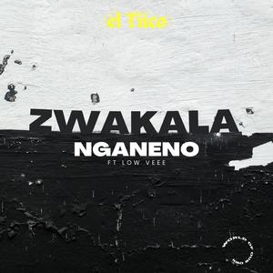 Zwakala nganeno (feat. Low veee) (Radio Edit)