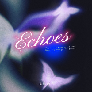 Echoes (暗示回响）