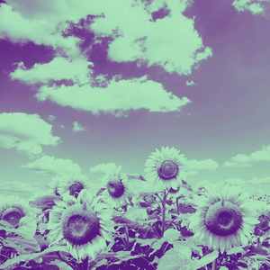 安静的思考声音