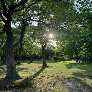 淋湿了也没关系要一起吗