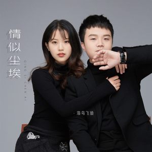 情似尘埃 (DJ名龙版)