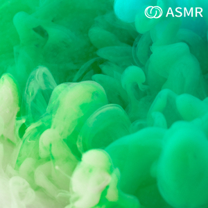 白噪音 ASMR 鸟鸣流水声